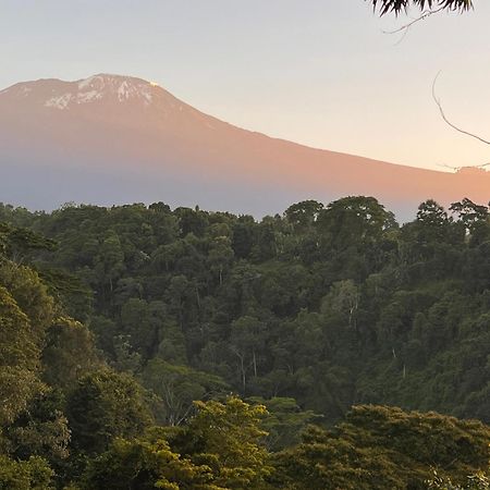 Kaliwa Lodge Moshi Dış mekan fotoğraf