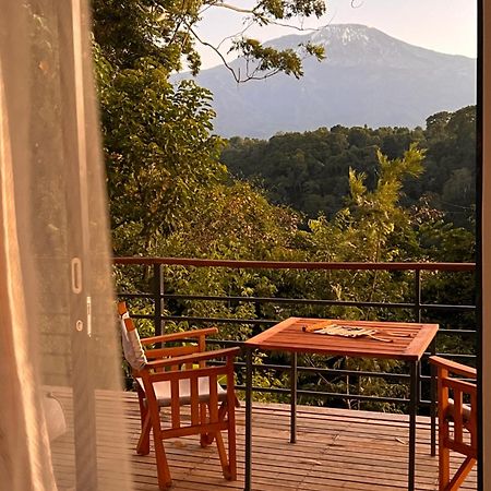 Kaliwa Lodge Moshi Dış mekan fotoğraf