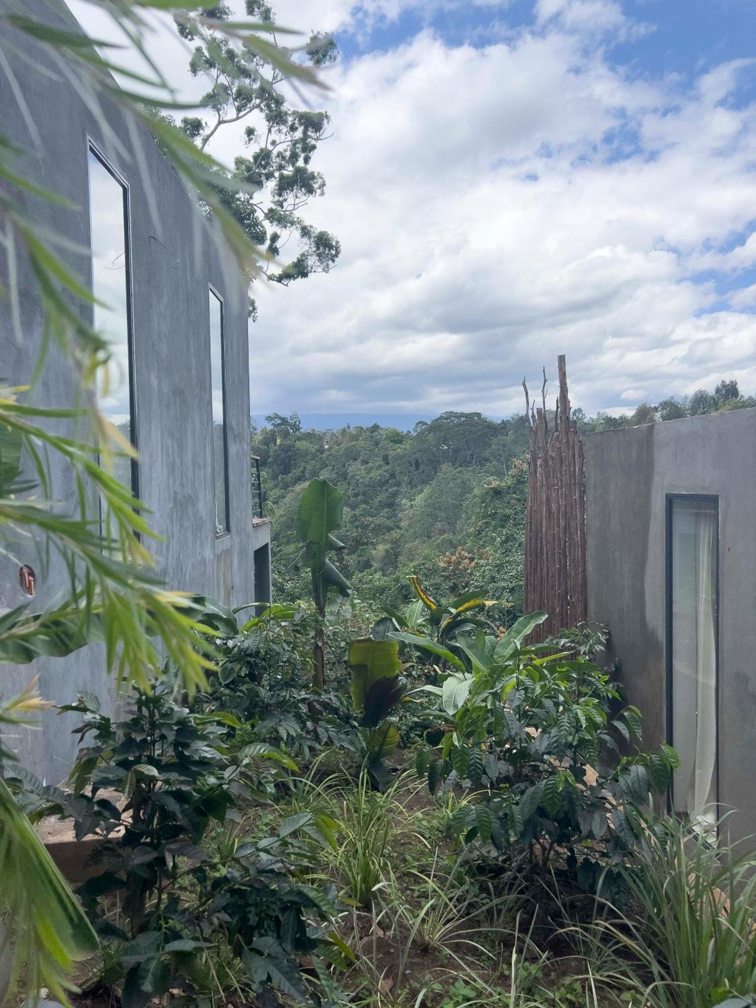 Kaliwa Lodge Moshi Dış mekan fotoğraf