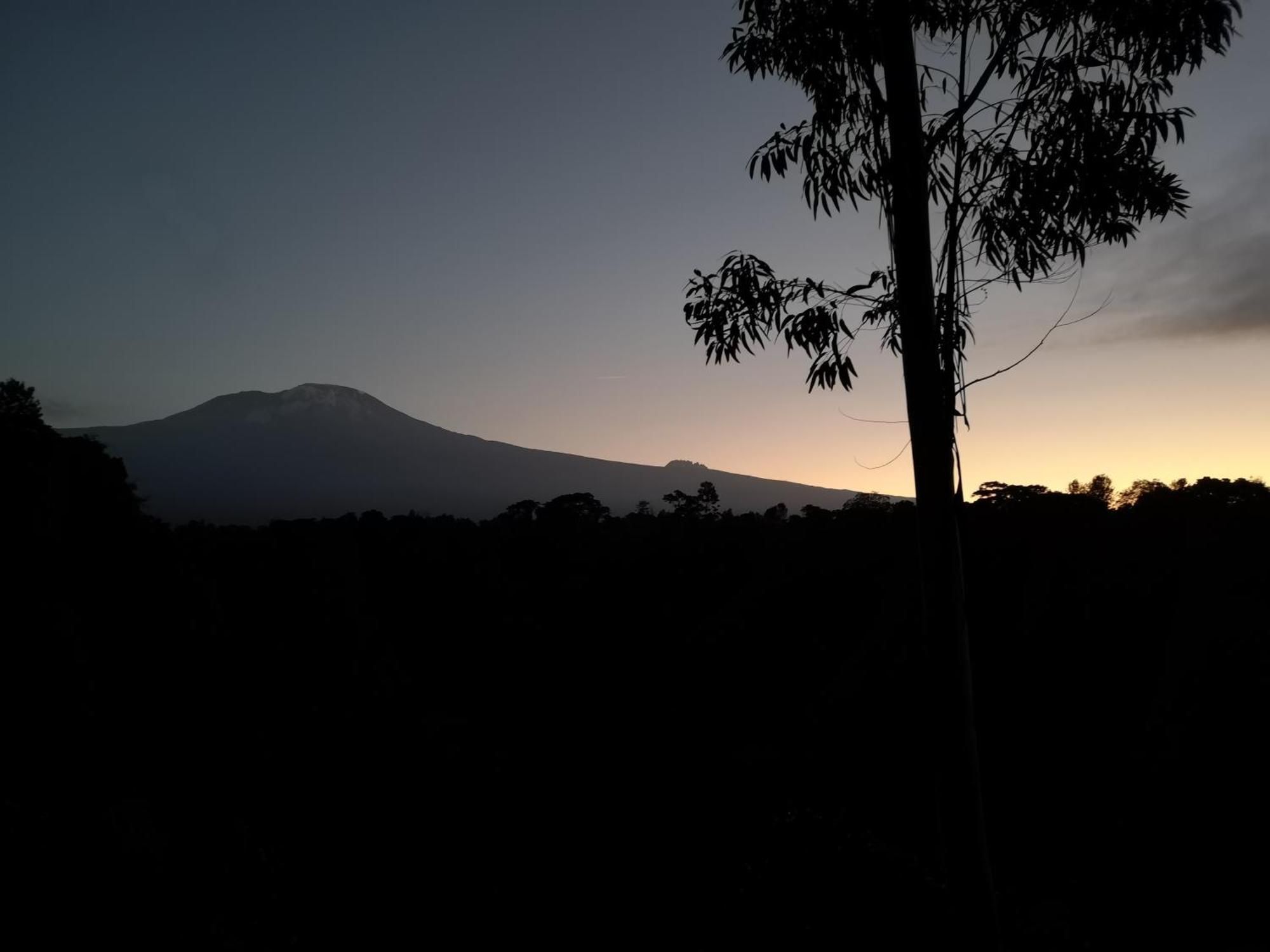 Kaliwa Lodge Moshi Dış mekan fotoğraf