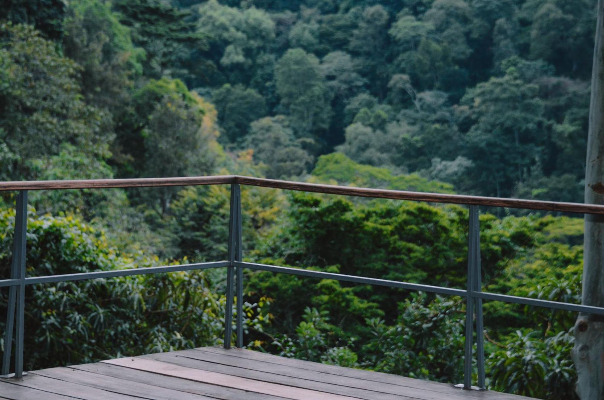Kaliwa Lodge Moshi Dış mekan fotoğraf