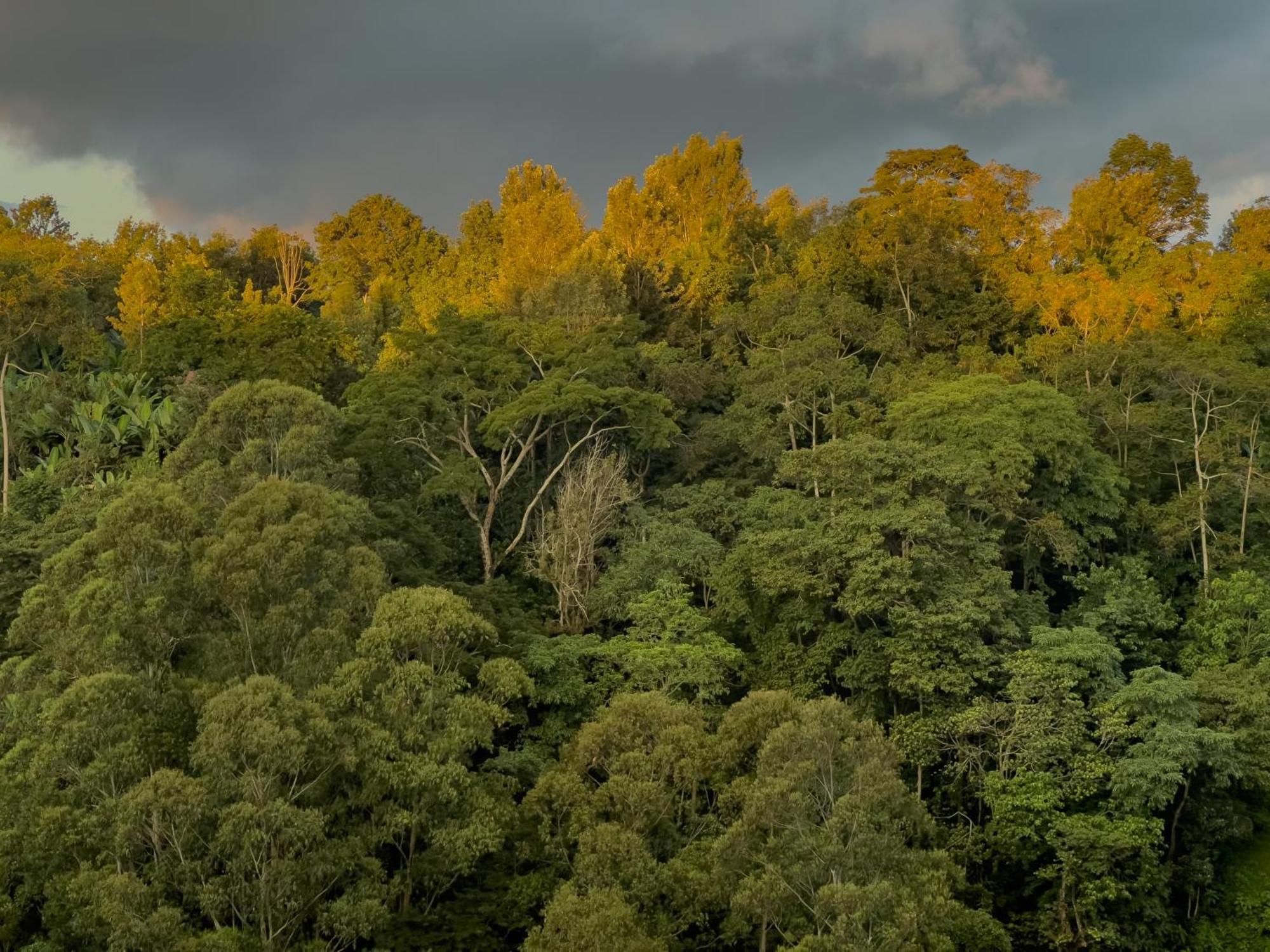Kaliwa Lodge Moshi Dış mekan fotoğraf