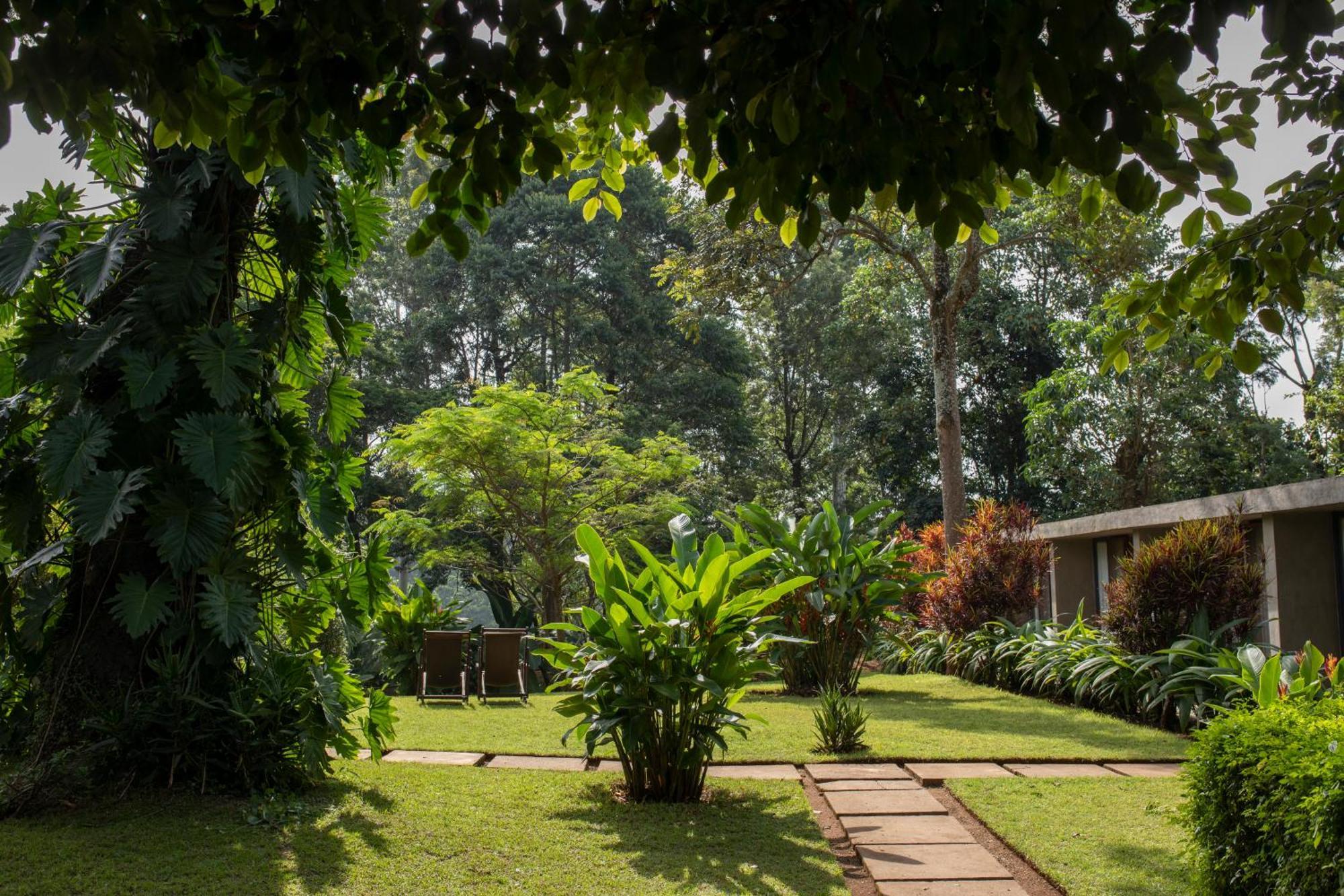 Kaliwa Lodge Moshi Dış mekan fotoğraf