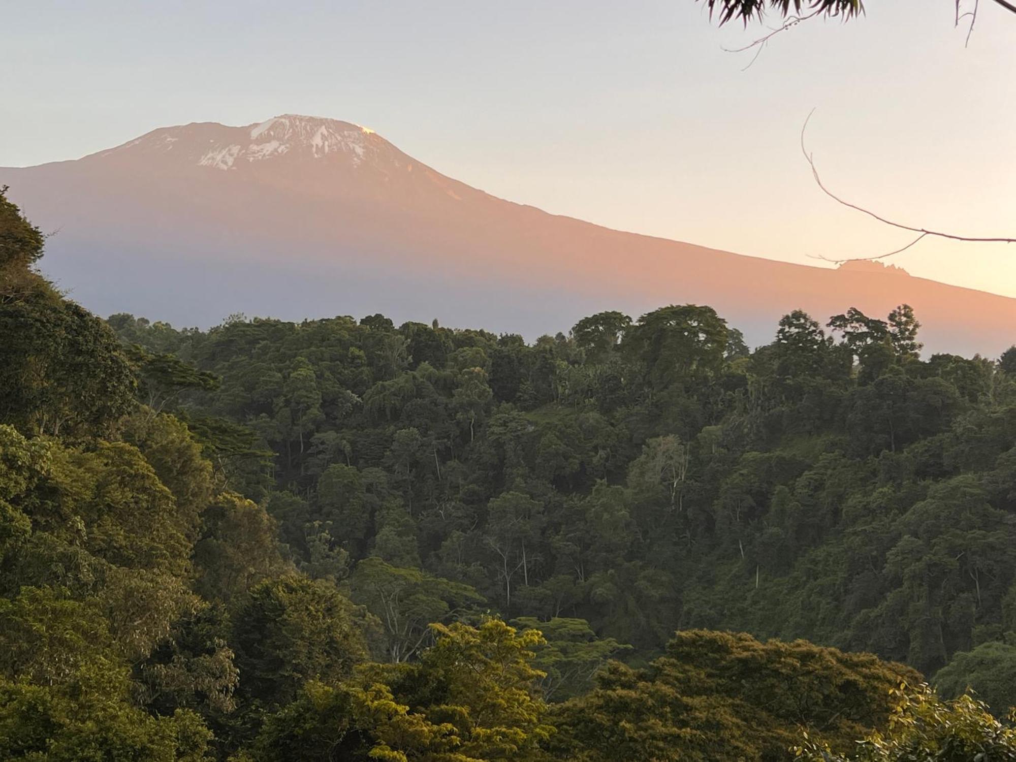Kaliwa Lodge Moshi Dış mekan fotoğraf